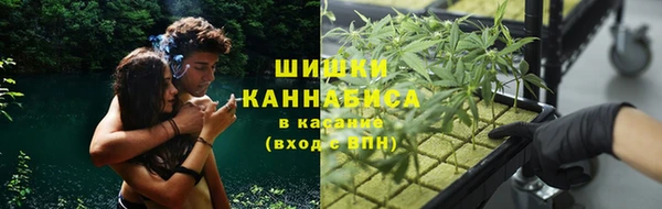 соль курить ск Богданович