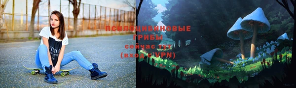 ALPHA-PVP Богородицк