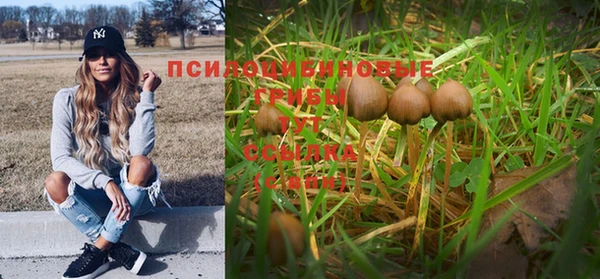 ПСИЛОЦИБИНОВЫЕ ГРИБЫ Верея