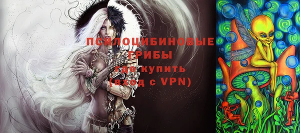 ПСИЛОЦИБИНОВЫЕ ГРИБЫ Верея
