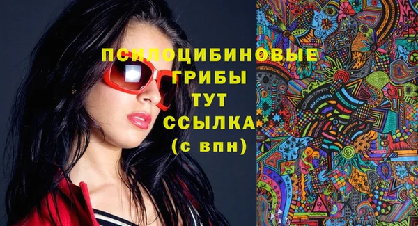 соль курить ск Богданович