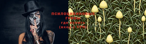соль курить ск Богданович