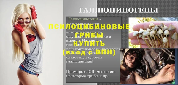 ALPHA-PVP Богородицк