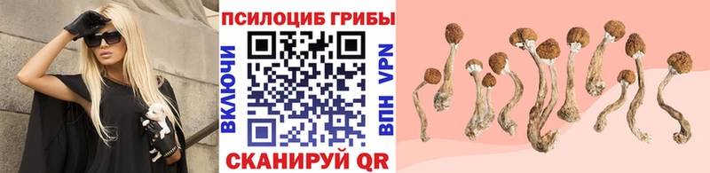 Псилоцибиновые грибы мухоморы Карабаш